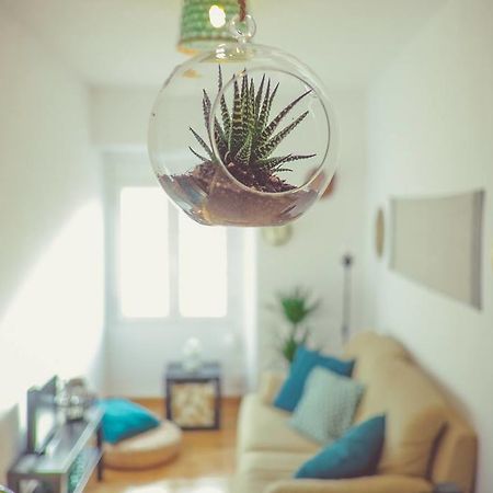 Sintra Central Flat المظهر الخارجي الصورة